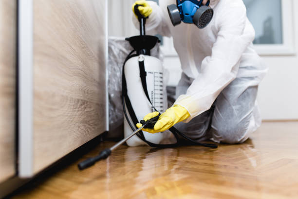  West Liberty, KY Pest Control Pros