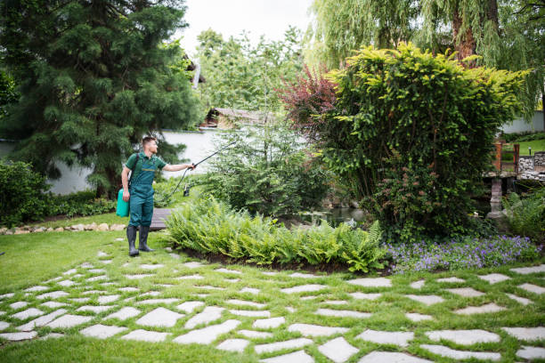 Best Pest Inspection Near Me  in West Liberty, KY