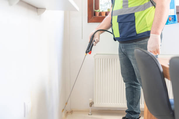 Best Wasp Removal Services  in West Liberty, KY
