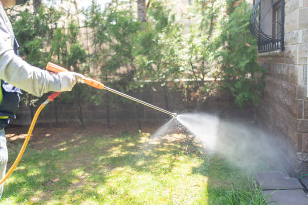 Best Best Pest Control Companies  in West Liberty, KY