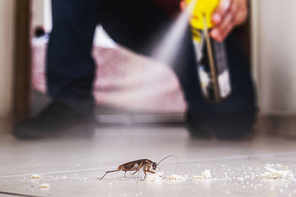 Best Affordable Pest Control Services  in West Liberty, KY