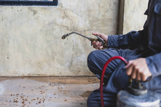 Best Pest Removal Services  in West Liberty, KY